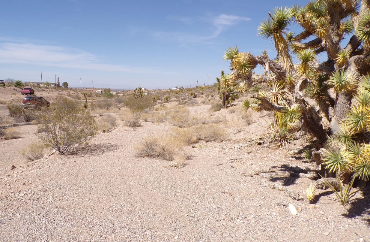 Screenshot_9-11-2025_94212_www.land.com