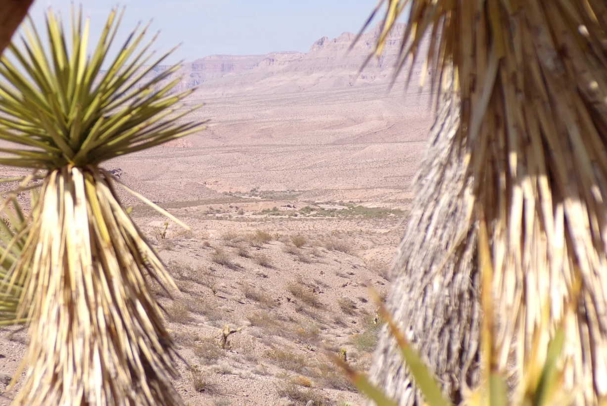 Screenshot_9-11-2025_94254_www.land.com