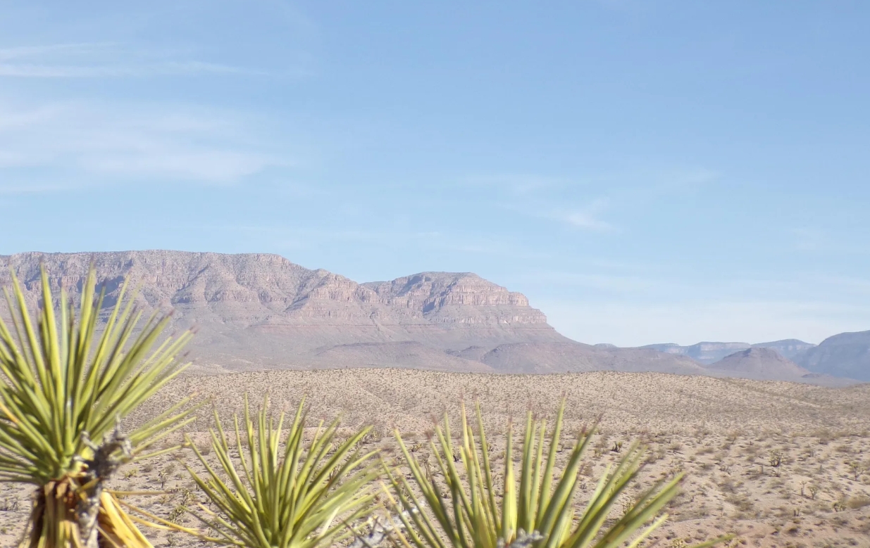 Screenshot_9-11-2025_9439_www.land.com