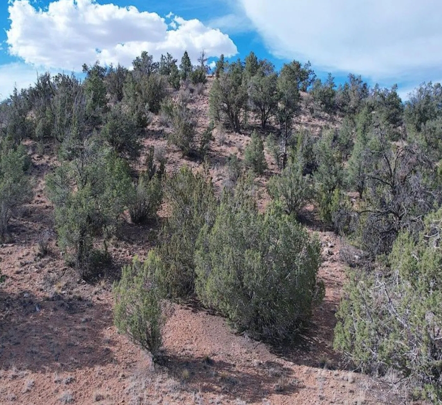 Screenshot_3-12-2025_183221_www.land.com