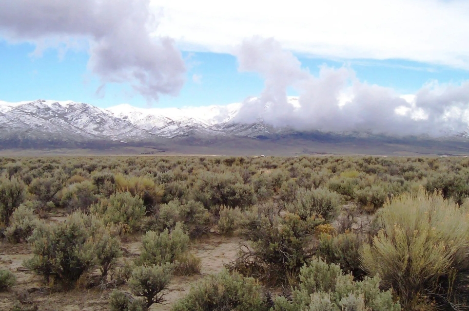 40 Acres Surrounded by the Humboldt Mountains! Your Nevada Homestead Oasis with Some Mining Rights!