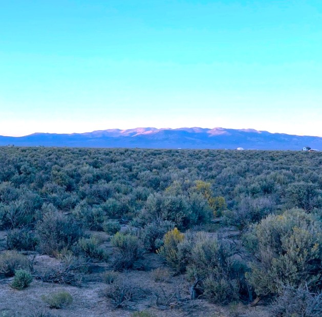 40 Acres Surrounded by the Humboldt Mountains! Your Nevada Homestead Oasis with Some Mining Rights!