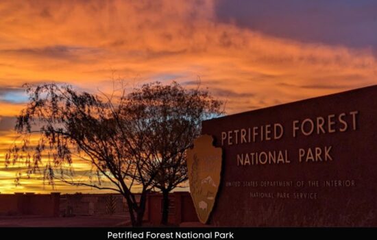 Apache County Acre by the Petrified Forest!