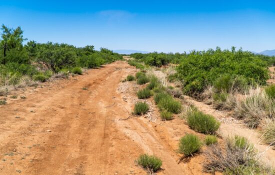 Pan for Gold on the Weekends! 1 Acre in Historic Pearce, AZ!