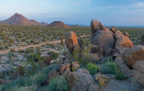 Stunning 40 Acres on Rawhide Rd in Stagecoach Trails, AZ!