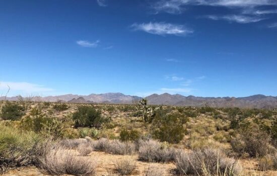 10 Acres to Plant Roots and Boots in Arizona!