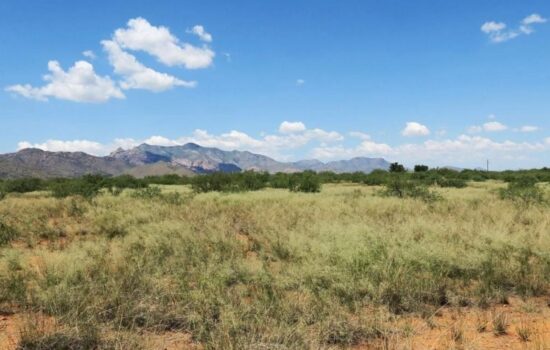 Buy Now, Build Later, in Peaceful Cochise County, AZ!