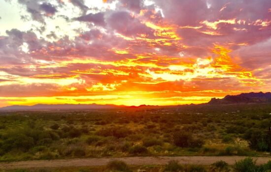 Summer Temps in the 80’s! Where?! Show Low, AZ- 1 Acre.