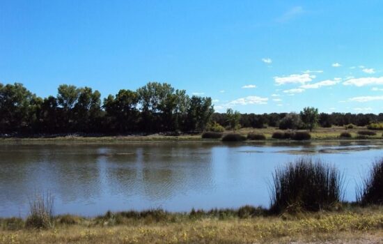 Show Low or Concho, AZ- 1 Acre Ready for Your Design!