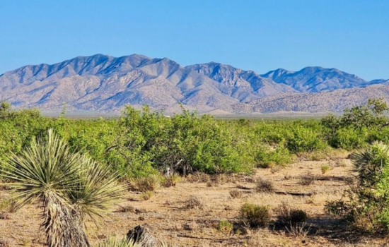 Land That’s Good for Your Pysch and Hiking Boots in Douglas, AZ!