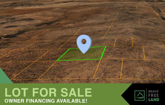 Pure Texiz Land. Ya Know? 11 Acres in Van Horn