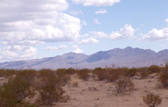15 Acres in Topock, AZ! Residential and Agriculture allowed. Power nearby.