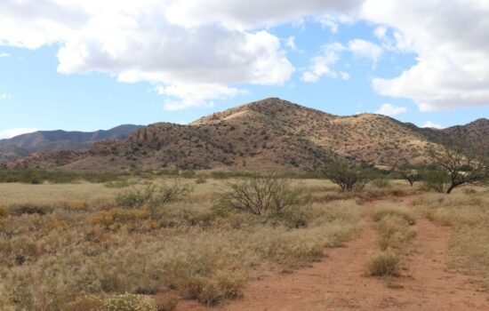 Weekend Getaway in Pearce, AZ! Enjoy Local Wine or Find Gold!