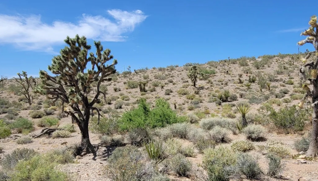 Power and Water Available! Enjoy This Small River Town- Meadview, AZ!