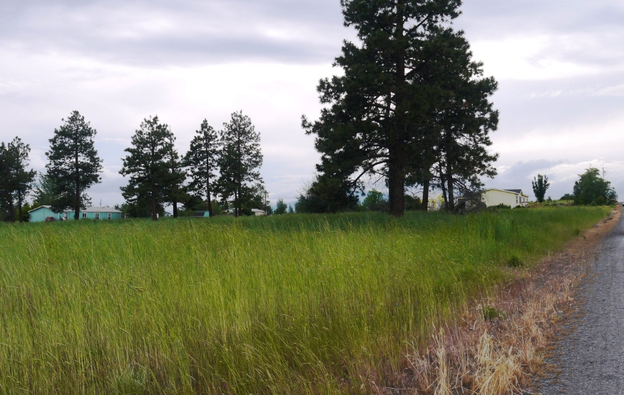 Oregon Shores Family Residence Lot Available!