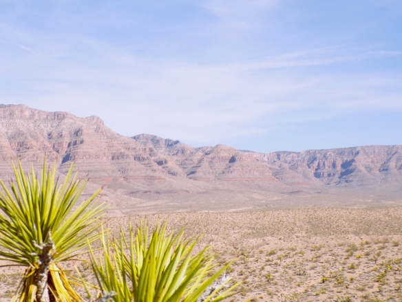 Power and Water Available! Enjoy This Small River Town- Meadview, AZ!