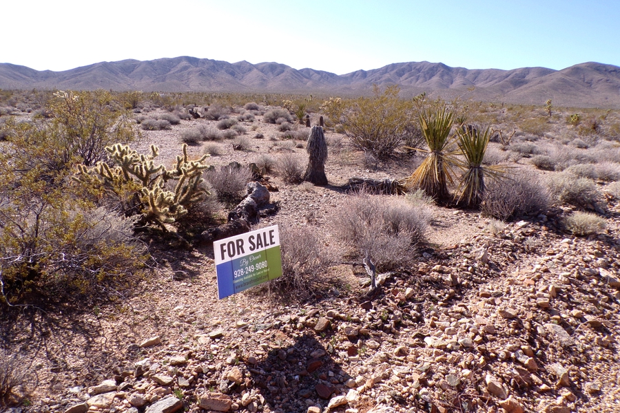 Two Dirt Cheap Lots, Side‑by‑Side…Out in the Wild Desert Near Gregg’s Hideout! NW Arizona