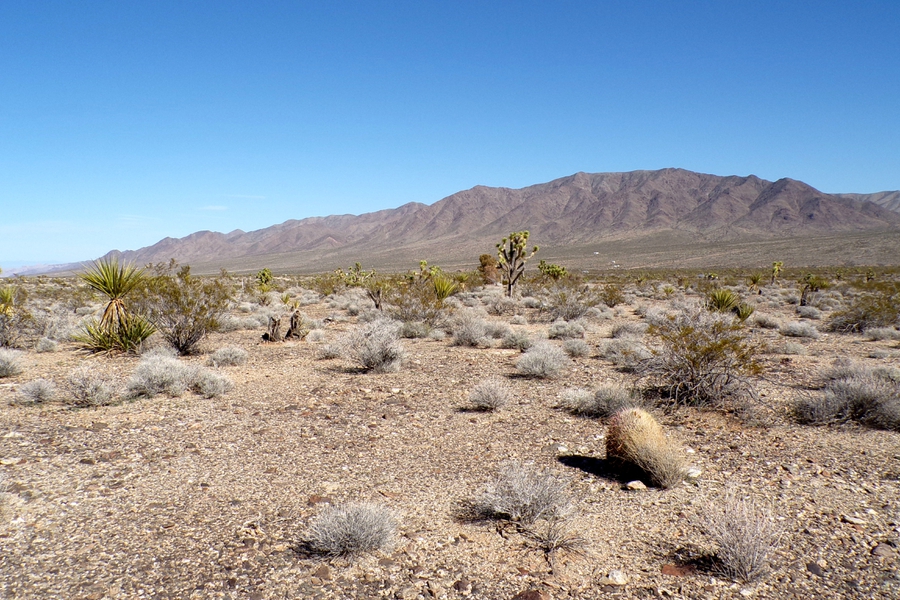 Two Dirt Cheap Lots, Side‑by‑Side…Out in the Wild Desert Near Gregg’s Hideout! NW Arizona