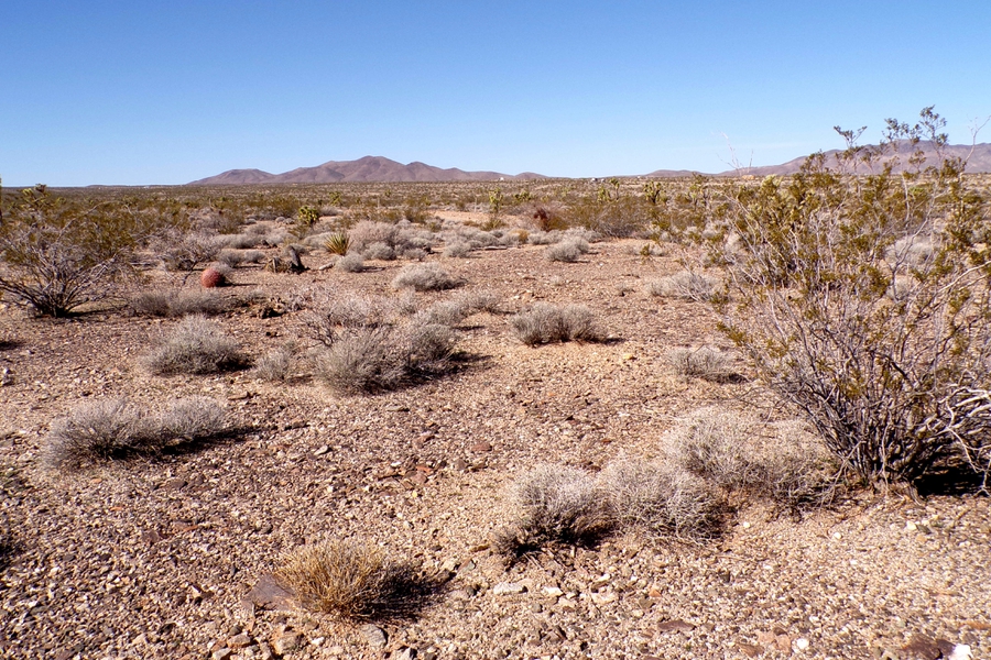 Two Dirt Cheap Lots, Side‑by‑Side…Out in the Wild Desert Near Gregg’s Hideout! NW Arizona