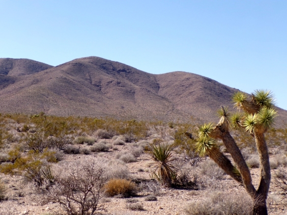 Two Dirt Cheap Lots, Side‑by‑Side…Out in the Wild Desert Near Gregg’s Hideout! NW Arizona