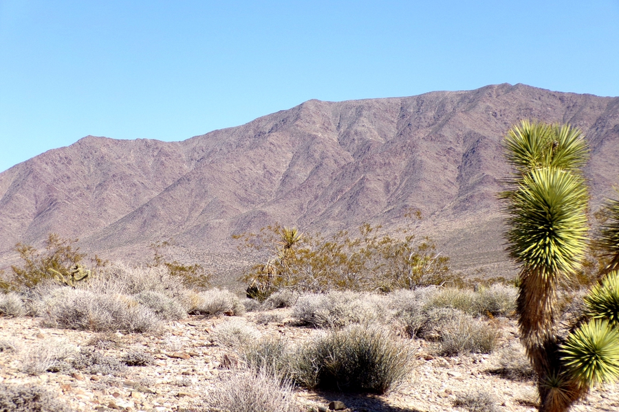 Two Dirt Cheap Lots, Side‑by‑Side…Out in the Wild Desert Near Gregg’s Hideout! NW Arizona