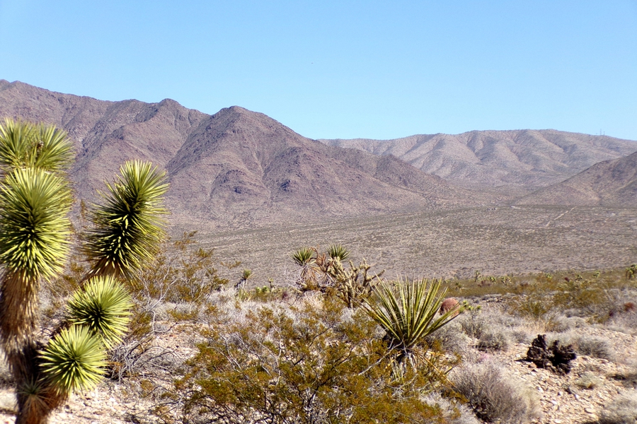 Two Dirt Cheap Lots, Side‑by‑Side…Out in the Wild Desert Near Gregg’s Hideout! NW Arizona