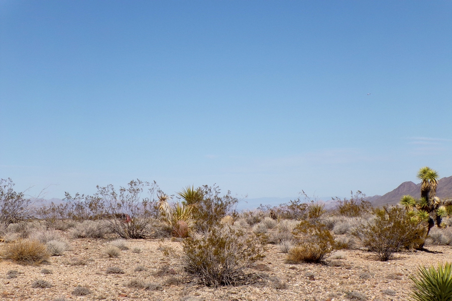 Two Dirt Cheap Lots, Side‑by‑Side…Out in the Wild Desert Near Gregg’s Hideout! NW Arizona