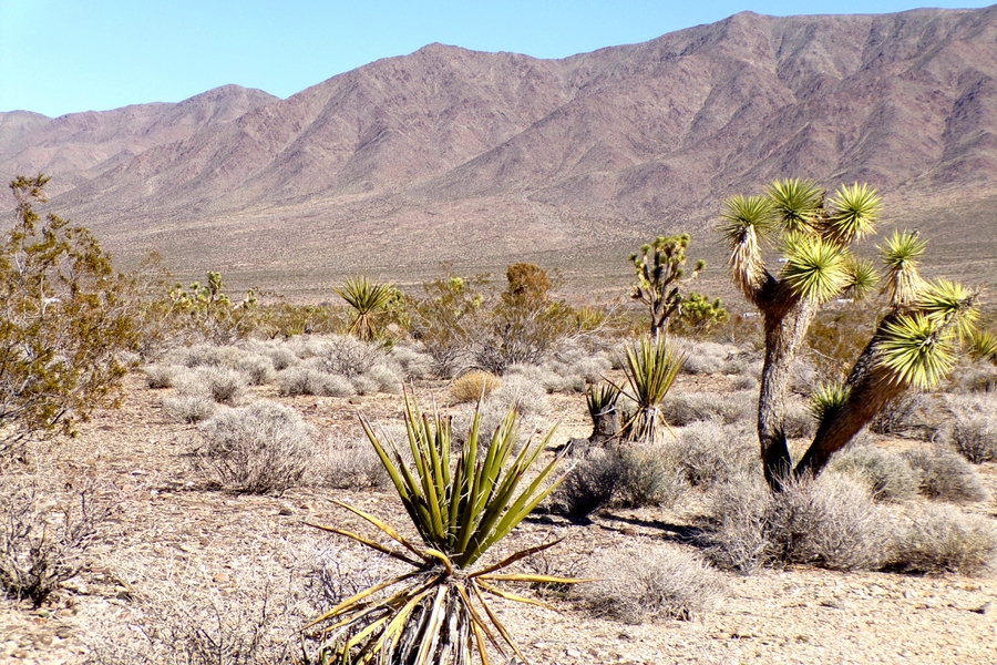 Two Dirt Cheap Lots, Side‑by‑Side…Out in the Wild Desert Near Gregg’s Hideout! NW Arizona