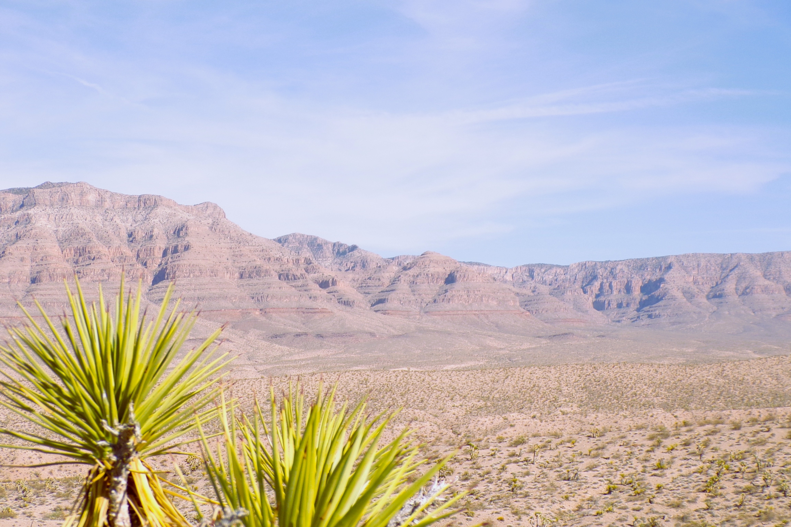 Two Dirt Cheap Lots, Side‑by‑Side…Out in the Wild Desert Near Gregg’s Hideout! NW Arizona