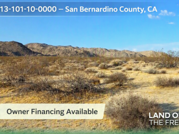 Own Land in 29 Palms, CA! Joshua Tree Access + Natural Springs Nearby!