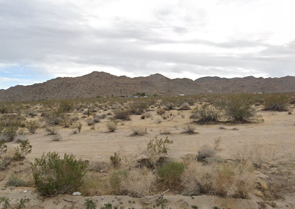 Own Land in 29 Palms, CA! Joshua Tree Access + Natural Springs Nearby!