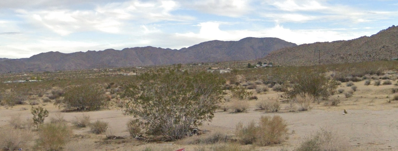 Own Land in 29 Palms, CA! Joshua Tree Access + Natural Springs Nearby!