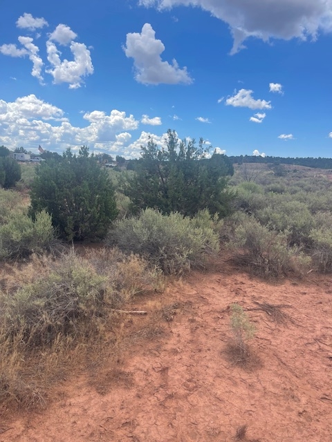 Rare Find! 1 Acre of Land in Shumway, AZ!