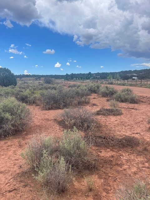 Rare Find! 1 Acre of Land in Shumway, AZ!