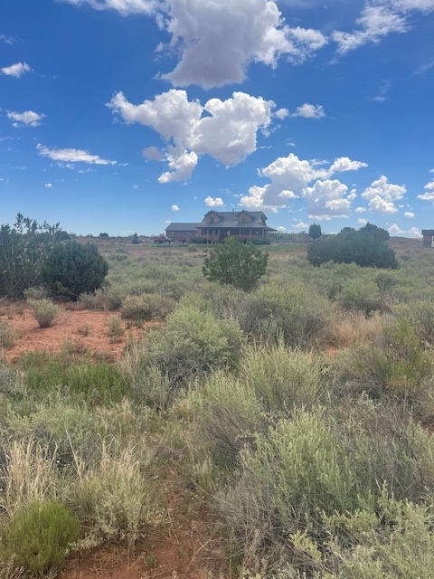 Rare Find! 1 Acre of Land in Shumway, AZ!