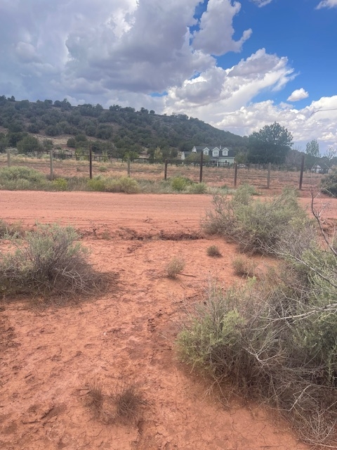 Rare Find! 1 Acre of Land in Shumway, AZ!