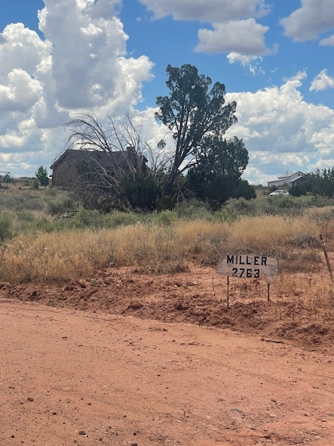 Rare Find! 1 Acre of Land in Shumway, AZ!