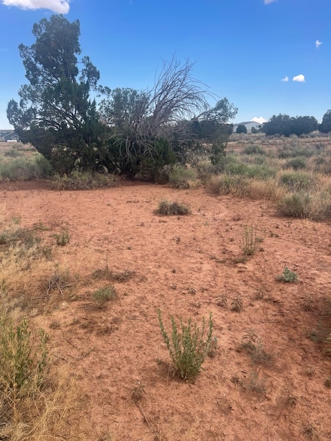 Rare Find! 1 Acre of Land in Shumway, AZ!