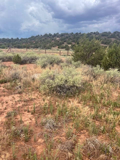 Rare Find! 1 Acre of Land in Shumway, AZ!