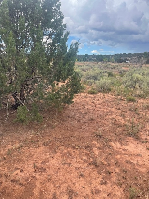 Rare Find! 1 Acre of Land in Shumway, AZ!