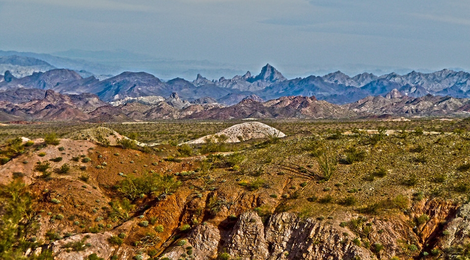10 Acres Overlooking Havasu-Where Only the Wild Ones Go!
