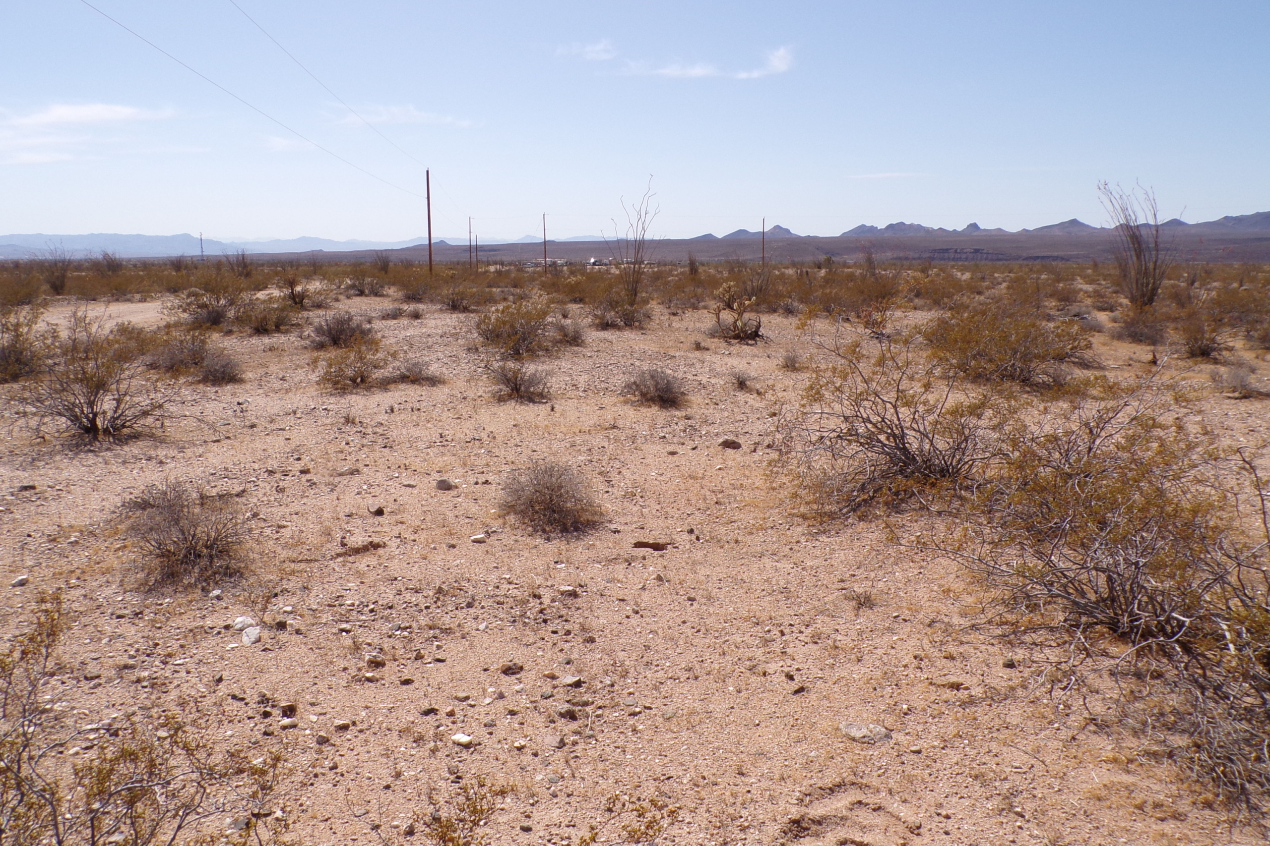 Convenient Tri-State Location! 1 Acre with Electricity Access! Yucca, AZ.