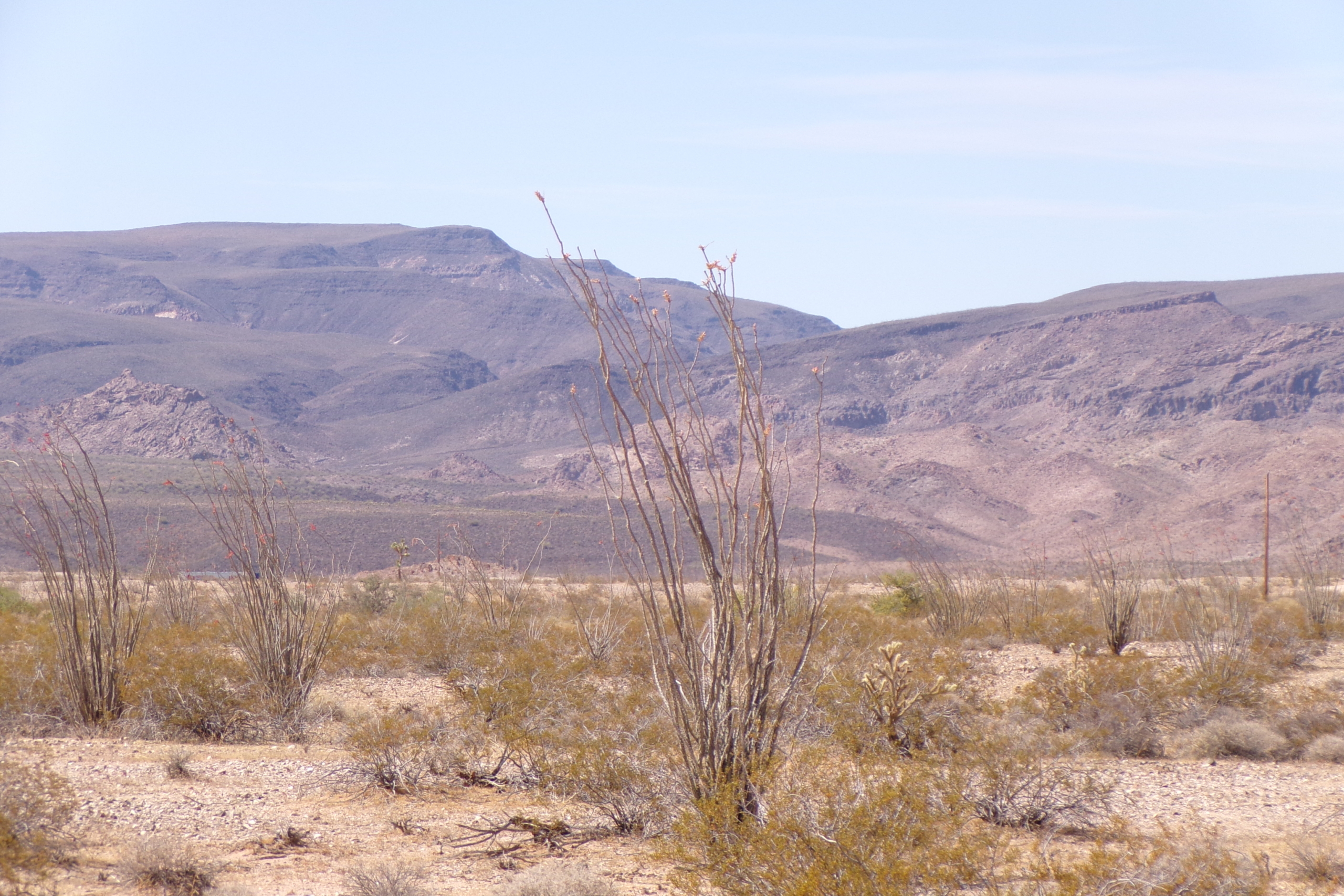 Convenient Tri-State Location! 1 Acre with Electricity Access! Yucca, AZ.