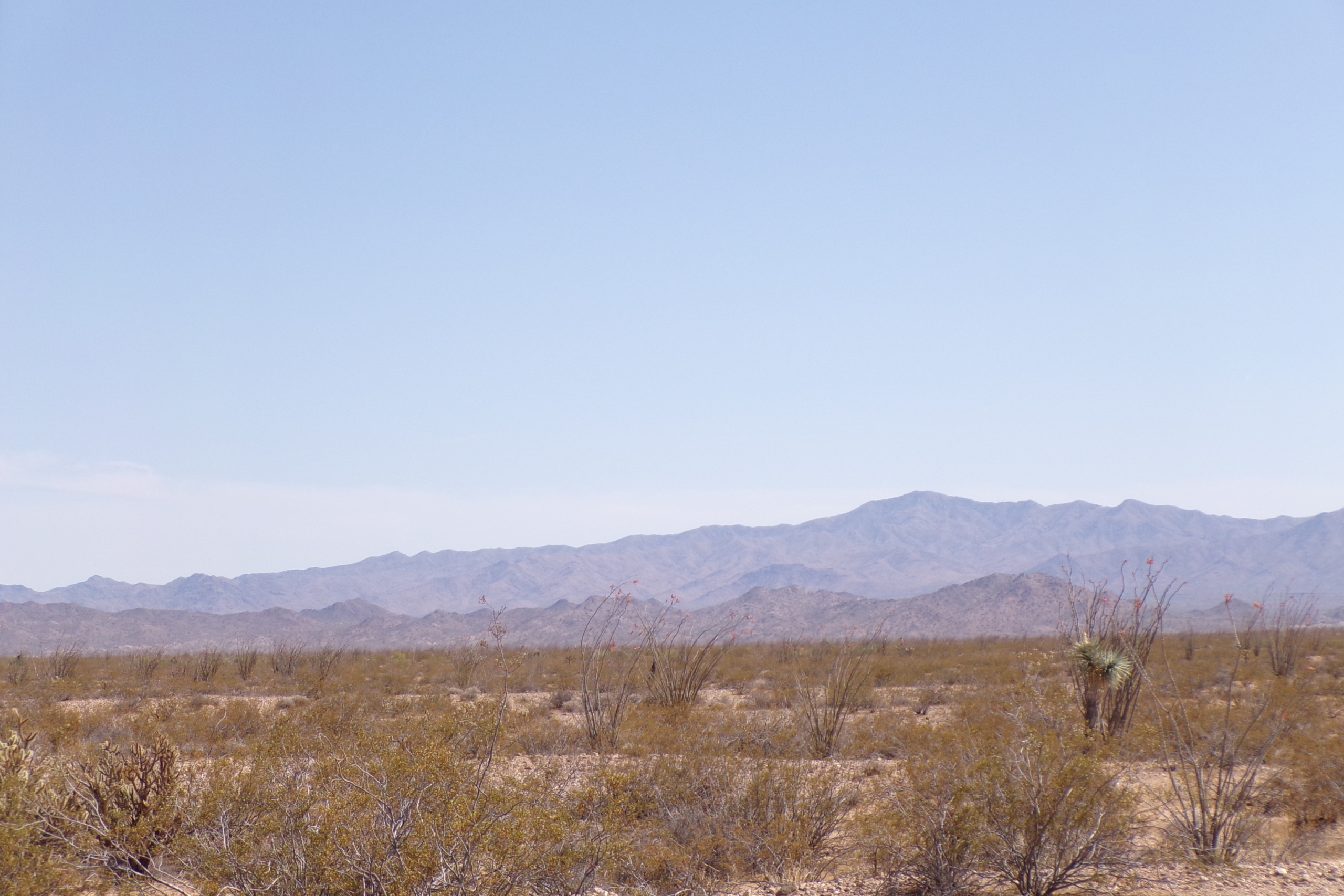 Convenient Tri-State Location! 1 Acre with Electricity Access! Yucca, AZ.